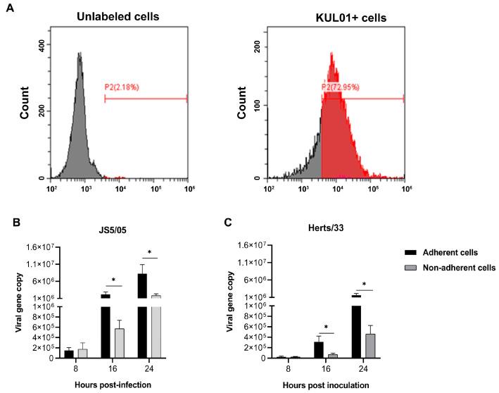 https://cdn.ncbi.nlm.nih.gov/pmc/blobs/006e/10340047/d7810ae8836a/animals-13-02239-g001.jpg