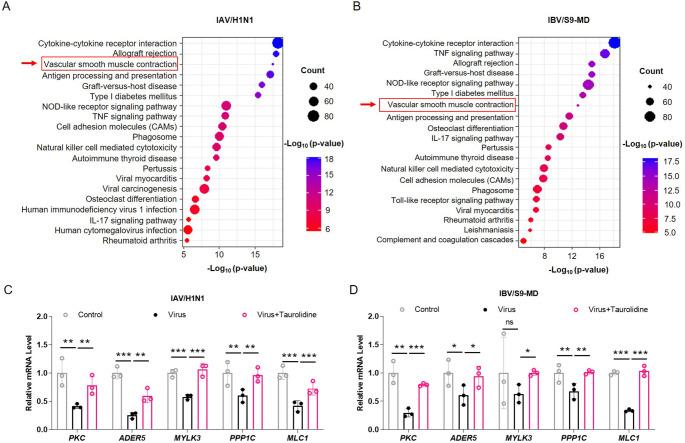 https://cdn.ncbi.nlm.nih.gov/pmc/blobs/006e/12078922/bee0db146095/18_2025_5636_Fig7_HTML.jpg