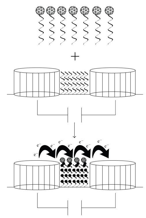 https://cdn.ncbi.nlm.nih.gov/pmc/blobs/006e/2905923/197105d5984e/JBB2010-715295.004.jpg