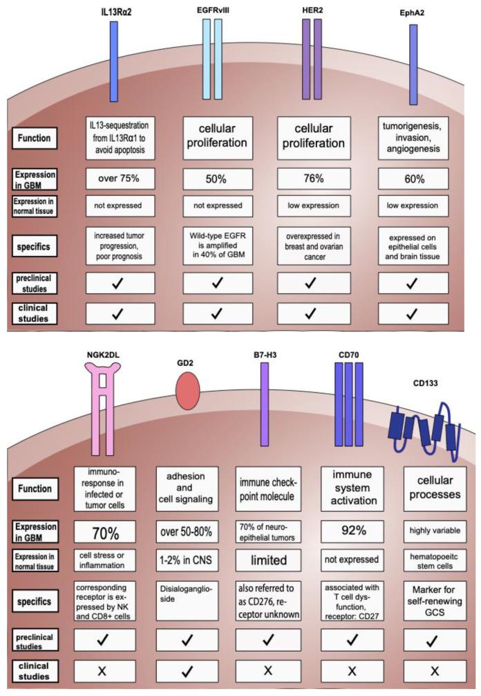 https://cdn.ncbi.nlm.nih.gov/pmc/blobs/006f/10340625/151634e6247d/cells-12-01770-g001.jpg