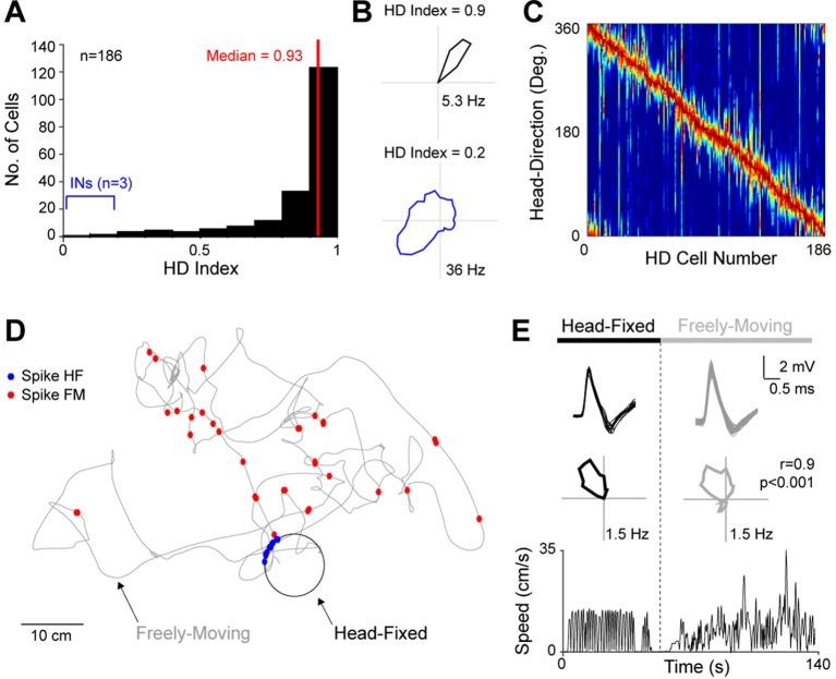 https://cdn.ncbi.nlm.nih.gov/pmc/blobs/006f/4927294/9d9f9dc12072/elife-14592-fig2.jpg