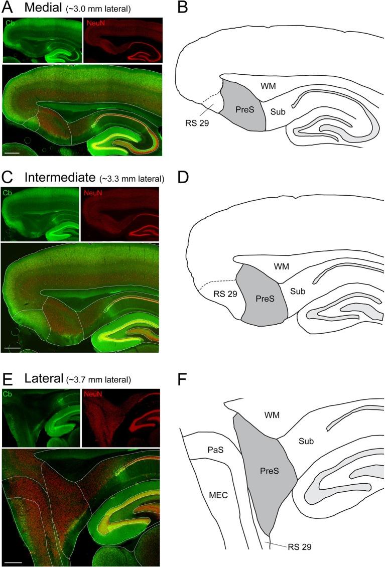 https://cdn.ncbi.nlm.nih.gov/pmc/blobs/006f/4927294/a21ae0fb539b/elife-14592-fig1-figsupp1.jpg