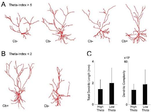 https://cdn.ncbi.nlm.nih.gov/pmc/blobs/006f/4927294/c569dc90f345/elife-14592-resp-fig2.jpg