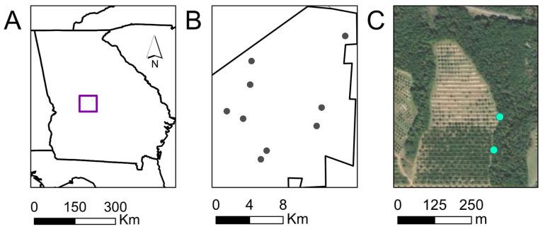 https://cdn.ncbi.nlm.nih.gov/pmc/blobs/0071/10380626/5d21638f30fc/insects-14-00595-g001.jpg