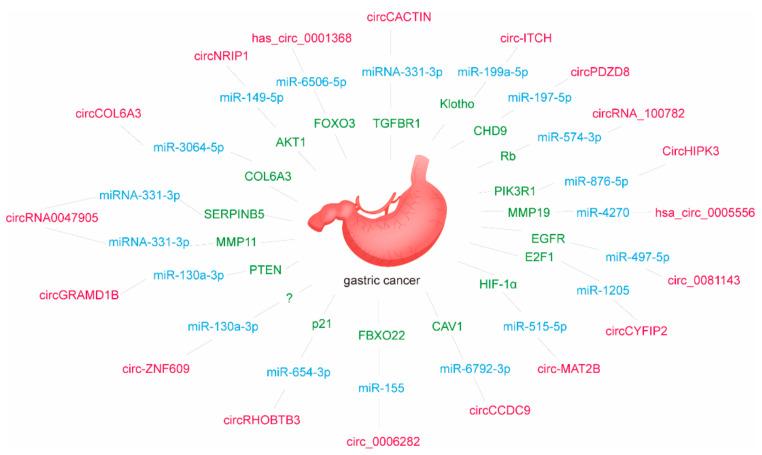 https://cdn.ncbi.nlm.nih.gov/pmc/blobs/0073/8305186/8515e9e9c8de/genes-12-01036-g002.jpg