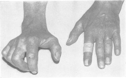 https://cdn.ncbi.nlm.nih.gov/pmc/blobs/0074/1013087/8d8364f4e7a3/jmedgene00318-0050-a.jpg