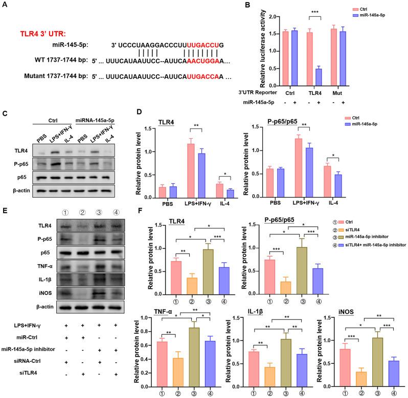 https://cdn.ncbi.nlm.nih.gov/pmc/blobs/0074/11302162/2698fb2424cd/12967_2024_5492_Fig5_HTML.jpg