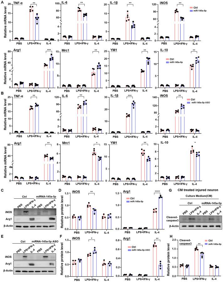 https://cdn.ncbi.nlm.nih.gov/pmc/blobs/0074/11302162/80497c35b85a/12967_2024_5492_Fig1_HTML.jpg