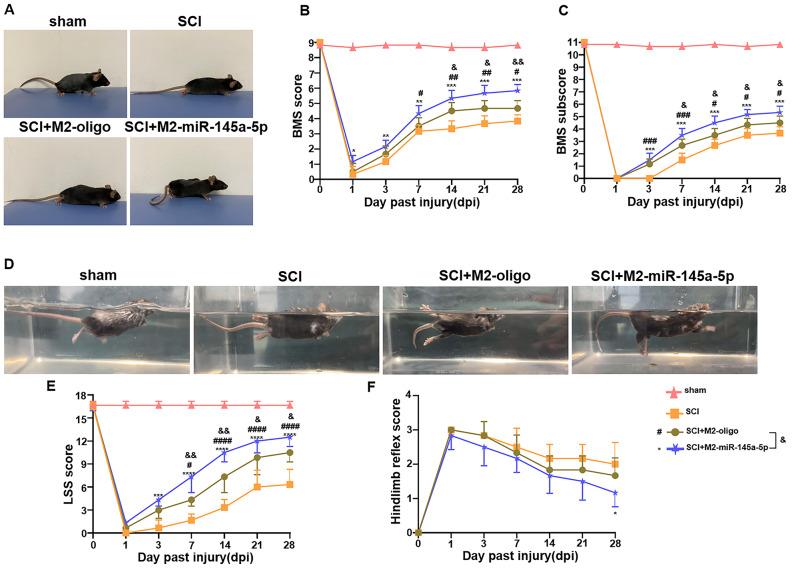 https://cdn.ncbi.nlm.nih.gov/pmc/blobs/0074/11302162/a2168431f1cf/12967_2024_5492_Fig3_HTML.jpg