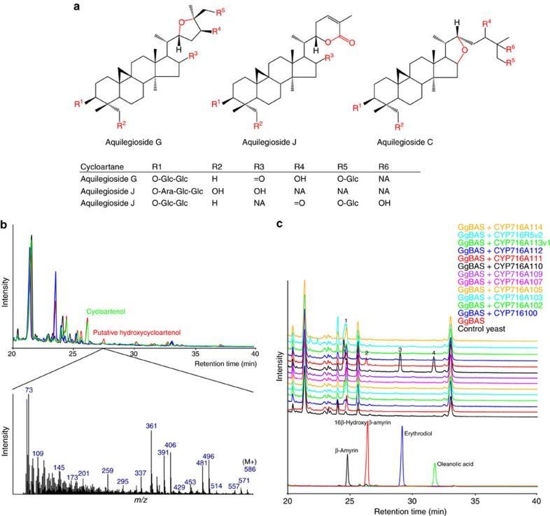 https://cdn.ncbi.nlm.nih.gov/pmc/blobs/0076/5303825/228293ce8782/ncomms14153-f3.jpg