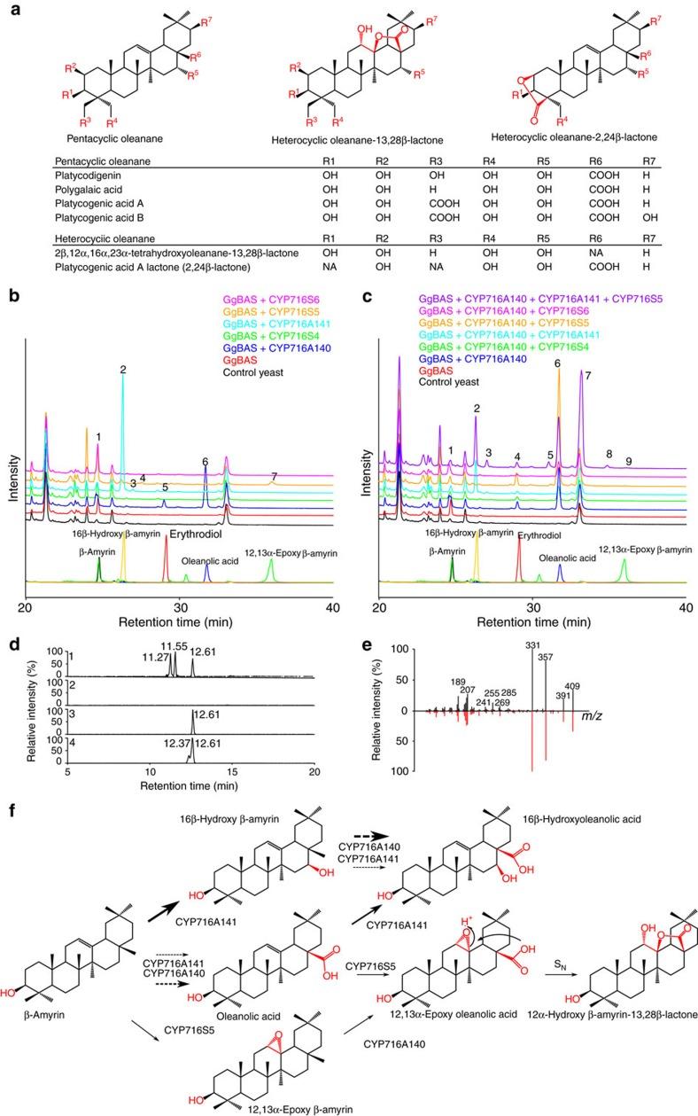 https://cdn.ncbi.nlm.nih.gov/pmc/blobs/0076/5303825/4066938057d3/ncomms14153-f2.jpg