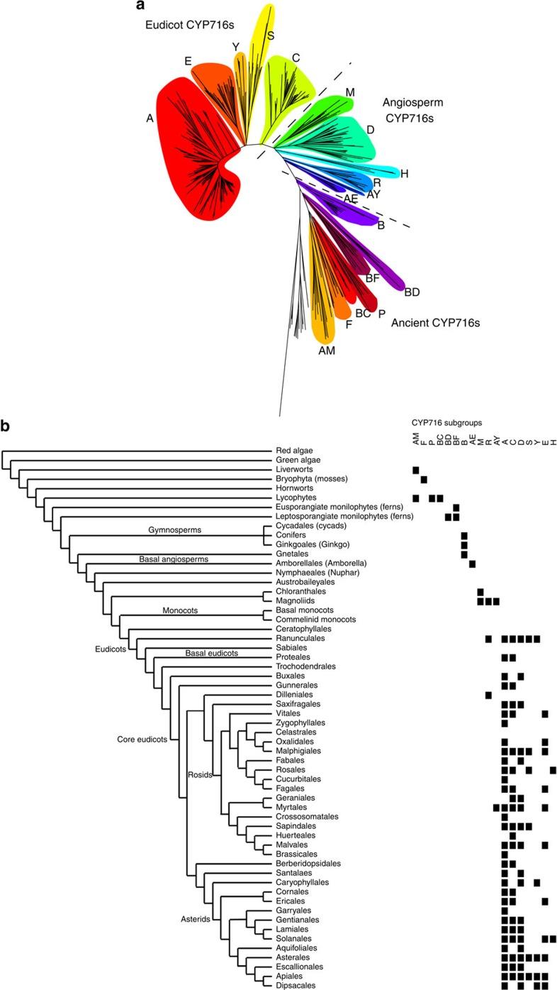 https://cdn.ncbi.nlm.nih.gov/pmc/blobs/0076/5303825/893ccab414ea/ncomms14153-f4.jpg