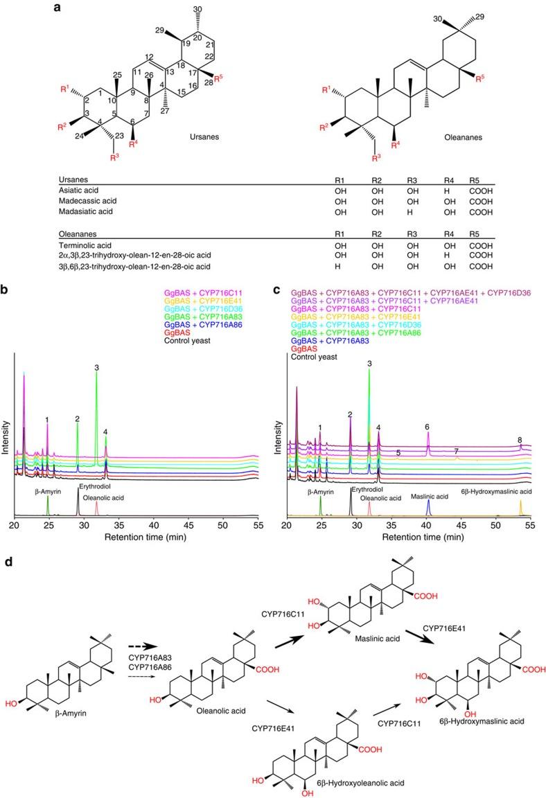 https://cdn.ncbi.nlm.nih.gov/pmc/blobs/0076/5303825/a484a347540e/ncomms14153-f1.jpg