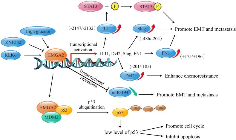 https://cdn.ncbi.nlm.nih.gov/pmc/blobs/0077/7563012/77c6d71b01f0/gr1.jpg