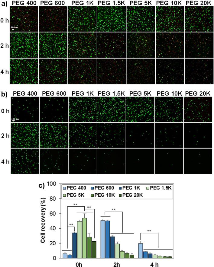 https://cdn.ncbi.nlm.nih.gov/pmc/blobs/0077/9942331/5158434aa5c4/40824_2023_356_Fig1_HTML.jpg