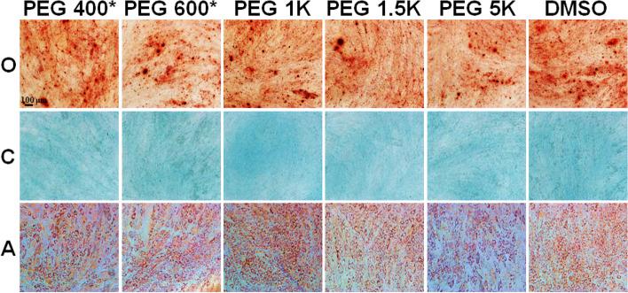 https://cdn.ncbi.nlm.nih.gov/pmc/blobs/0077/9942331/fefe07d829bc/40824_2023_356_Fig7_HTML.jpg