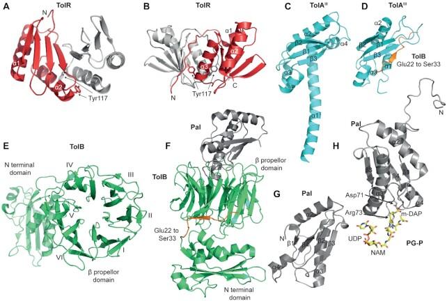https://cdn.ncbi.nlm.nih.gov/pmc/blobs/0078/7391070/59b86750f903/fuaa018fig1.jpg