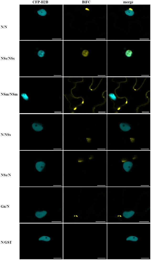 https://cdn.ncbi.nlm.nih.gov/pmc/blobs/0079/5387057/a9645f7f0af7/fmicb-08-00612-g005.jpg