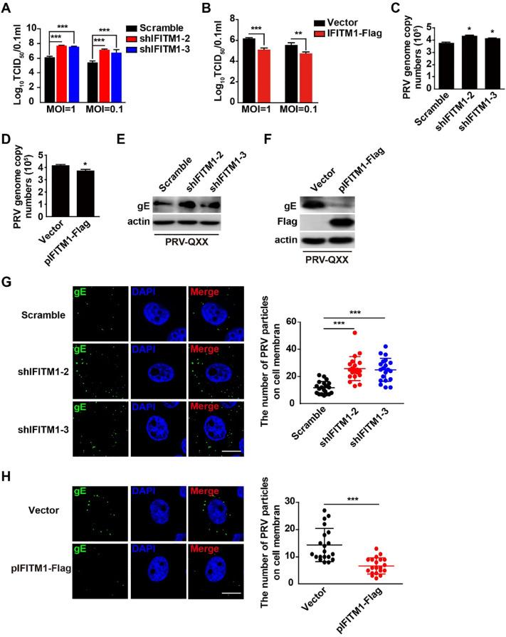 https://cdn.ncbi.nlm.nih.gov/pmc/blobs/0079/7102536/84808f1e5c9e/gr9_lrg.jpg