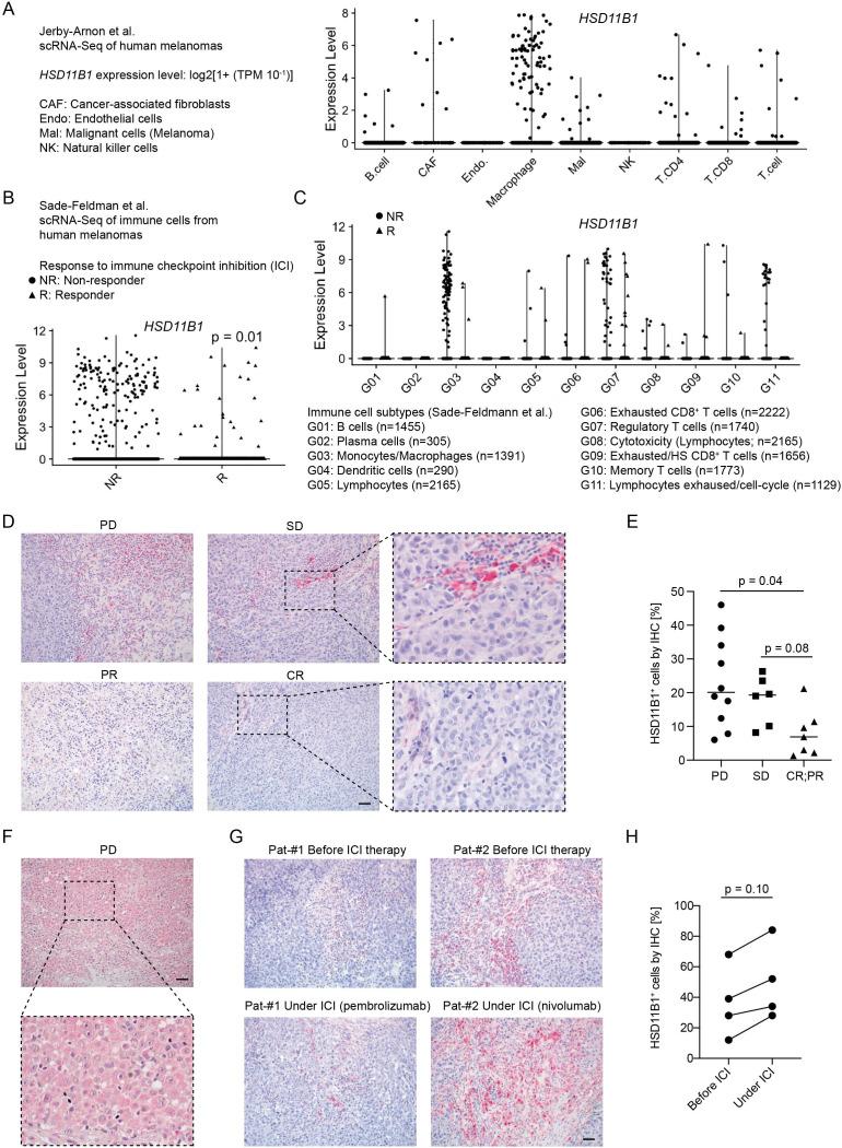 https://cdn.ncbi.nlm.nih.gov/pmc/blobs/007a/10083881/4adefd5ca9b7/jitc-2021-004150f01.jpg