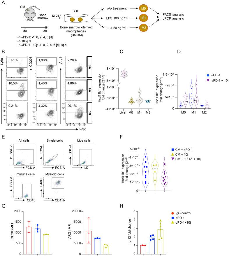 https://cdn.ncbi.nlm.nih.gov/pmc/blobs/007a/10083881/4ee1f7482885/jitc-2021-004150f05.jpg