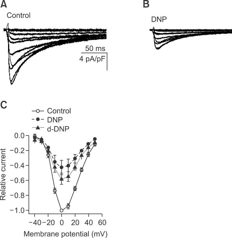 https://cdn.ncbi.nlm.nih.gov/pmc/blobs/007a/3389074/c4efa9ed48c0/emm-44-363-g001.jpg
