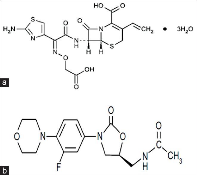 https://cdn.ncbi.nlm.nih.gov/pmc/blobs/007a/4293685/1c5b9d5d76c5/IJPhS-76-535-g001.jpg