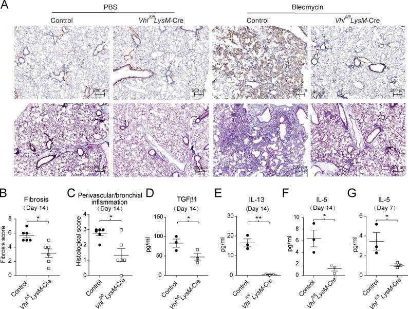 https://cdn.ncbi.nlm.nih.gov/pmc/blobs/007c/6279396/2499bcda67d1/JEM_20181211_Fig2.jpg