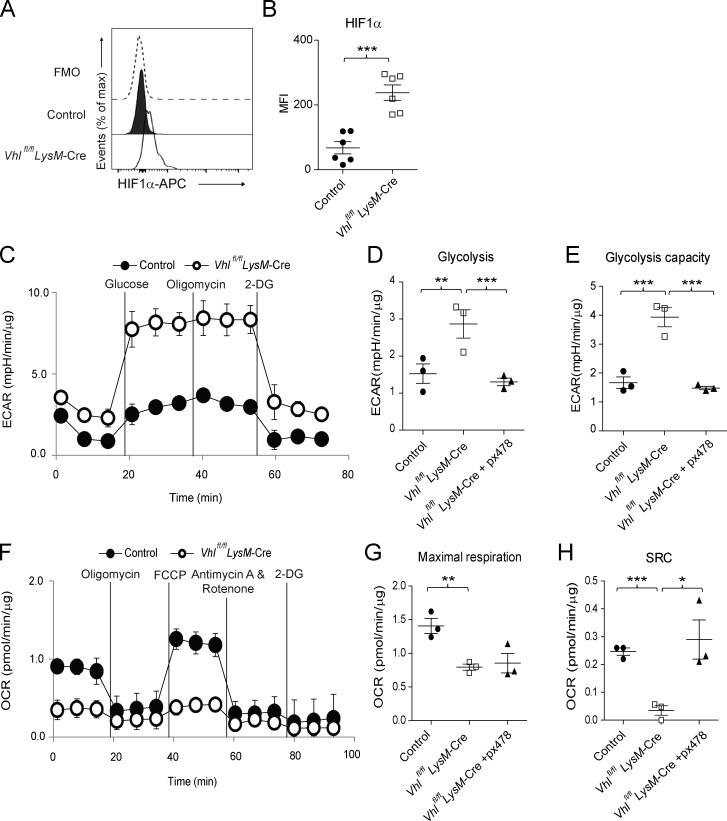 https://cdn.ncbi.nlm.nih.gov/pmc/blobs/007c/6279396/45cffc8d9773/JEM_20181211_Fig5.jpg