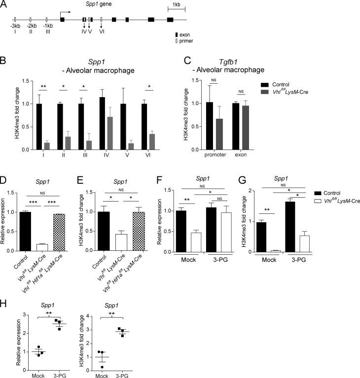 https://cdn.ncbi.nlm.nih.gov/pmc/blobs/007c/6279396/75d993a4c2a7/JEM_20181211_Fig6.jpg