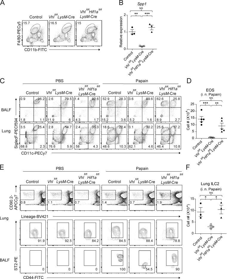 https://cdn.ncbi.nlm.nih.gov/pmc/blobs/007c/6279396/b35610547322/JEM_20181211_Fig7.jpg