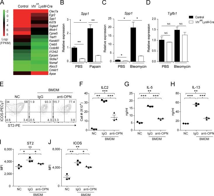https://cdn.ncbi.nlm.nih.gov/pmc/blobs/007c/6279396/b9bb3f0774b9/JEM_20181211_Fig4.jpg