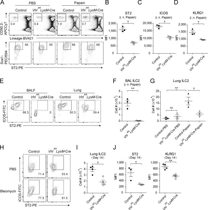 https://cdn.ncbi.nlm.nih.gov/pmc/blobs/007c/6279396/fee53cd97473/JEM_20181211_Fig3.jpg