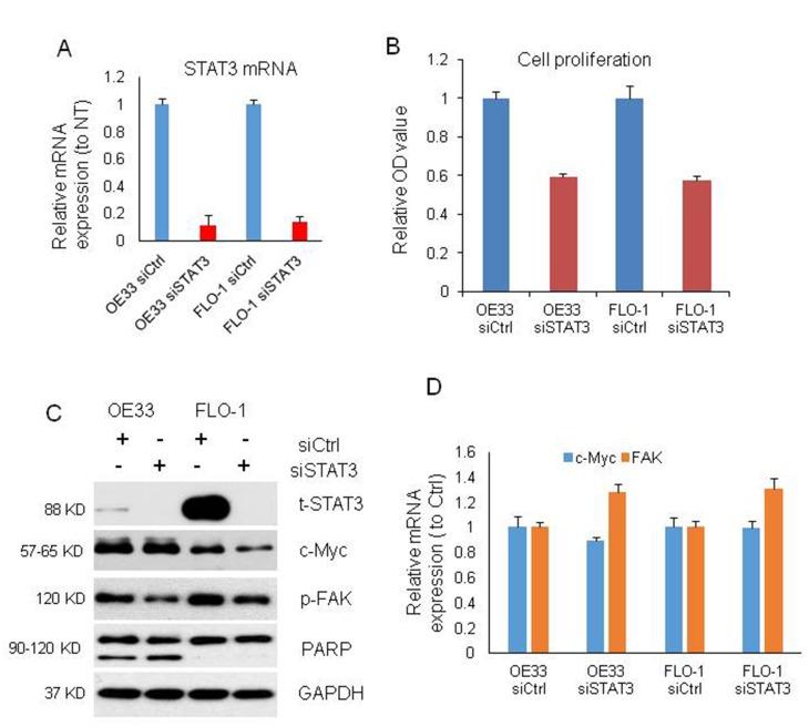 https://cdn.ncbi.nlm.nih.gov/pmc/blobs/007e/6660029/98f25596ef28/aging-11-102071-g004.jpg