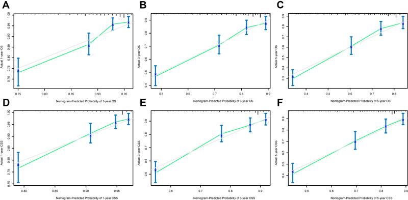 https://cdn.ncbi.nlm.nih.gov/pmc/blobs/007f/8709559/c45b8a22574b/IJGM-14-10065-g0005.jpg