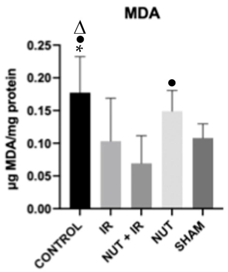 https://cdn.ncbi.nlm.nih.gov/pmc/blobs/0080/10299517/f36d6bc72c7f/ijms-24-10264-g003.jpg