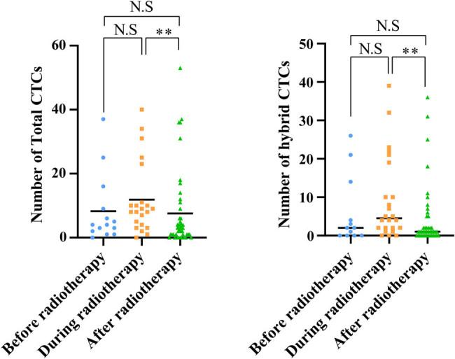 https://cdn.ncbi.nlm.nih.gov/pmc/blobs/0081/11909577/fcf22a515b2d/j_med-2024-1074-fig004.jpg