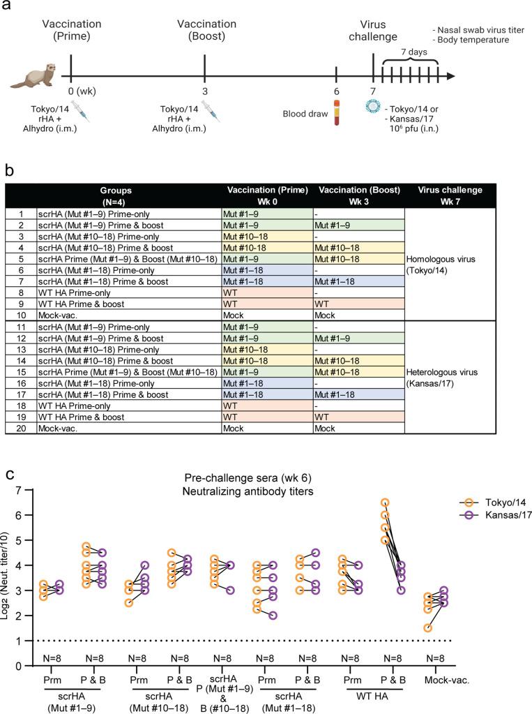 https://cdn.ncbi.nlm.nih.gov/pmc/blobs/0082/10470489/619cec6f9711/mbio.00622-23.f002.jpg