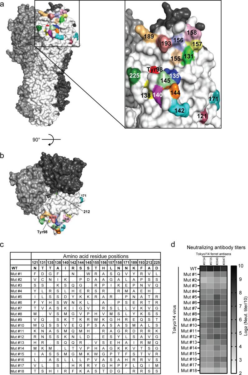 https://cdn.ncbi.nlm.nih.gov/pmc/blobs/0082/10470489/c611996b766a/mbio.00622-23.f001.jpg