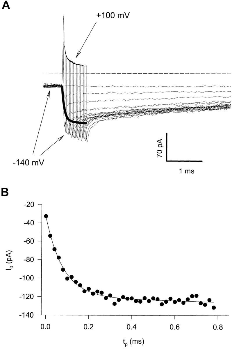 https://cdn.ncbi.nlm.nih.gov/pmc/blobs/0083/2233683/24dc0b507d40/JGP8204.f2.jpg