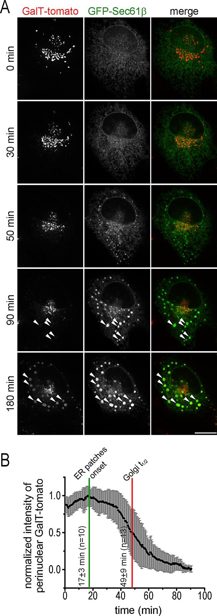 https://cdn.ncbi.nlm.nih.gov/pmc/blobs/0083/3608490/10d690a30e7e/1020fig6.jpg
