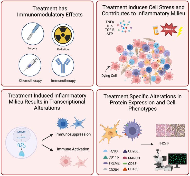 https://cdn.ncbi.nlm.nih.gov/pmc/blobs/0084/11476027/982e80e06373/cancers-16-03283-g003.jpg