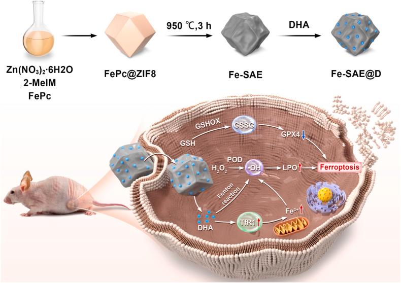 https://cdn.ncbi.nlm.nih.gov/pmc/blobs/0085/12320232/54c5e3aa5b5c/sc1.jpg