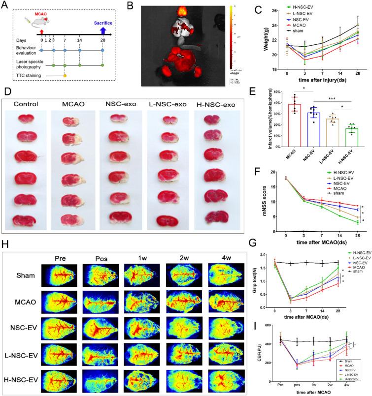 https://cdn.ncbi.nlm.nih.gov/pmc/blobs/0087/10494430/323f86de1673/13020_2023_831_Fig2_HTML.jpg