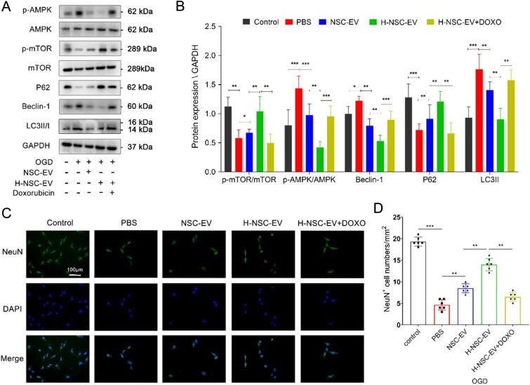https://cdn.ncbi.nlm.nih.gov/pmc/blobs/0087/10494430/430b2370755b/13020_2023_831_Fig5_HTML.jpg
