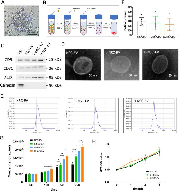 https://cdn.ncbi.nlm.nih.gov/pmc/blobs/0087/10494430/9f453c34b477/13020_2023_831_Fig1_HTML.jpg