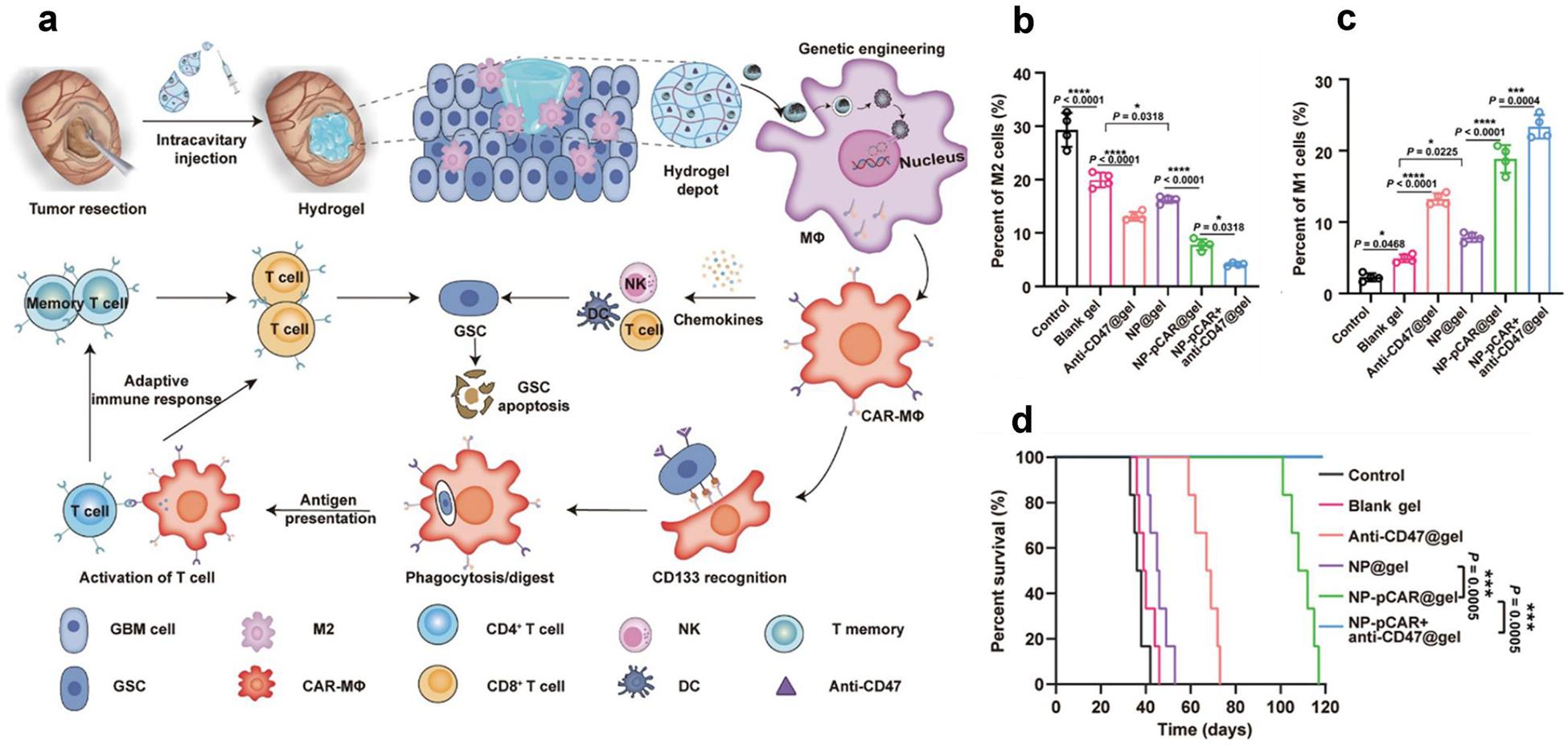 https://cdn.ncbi.nlm.nih.gov/pmc/blobs/0087/11581612/35f3db6783e6/nihms-2036321-f0007.jpg