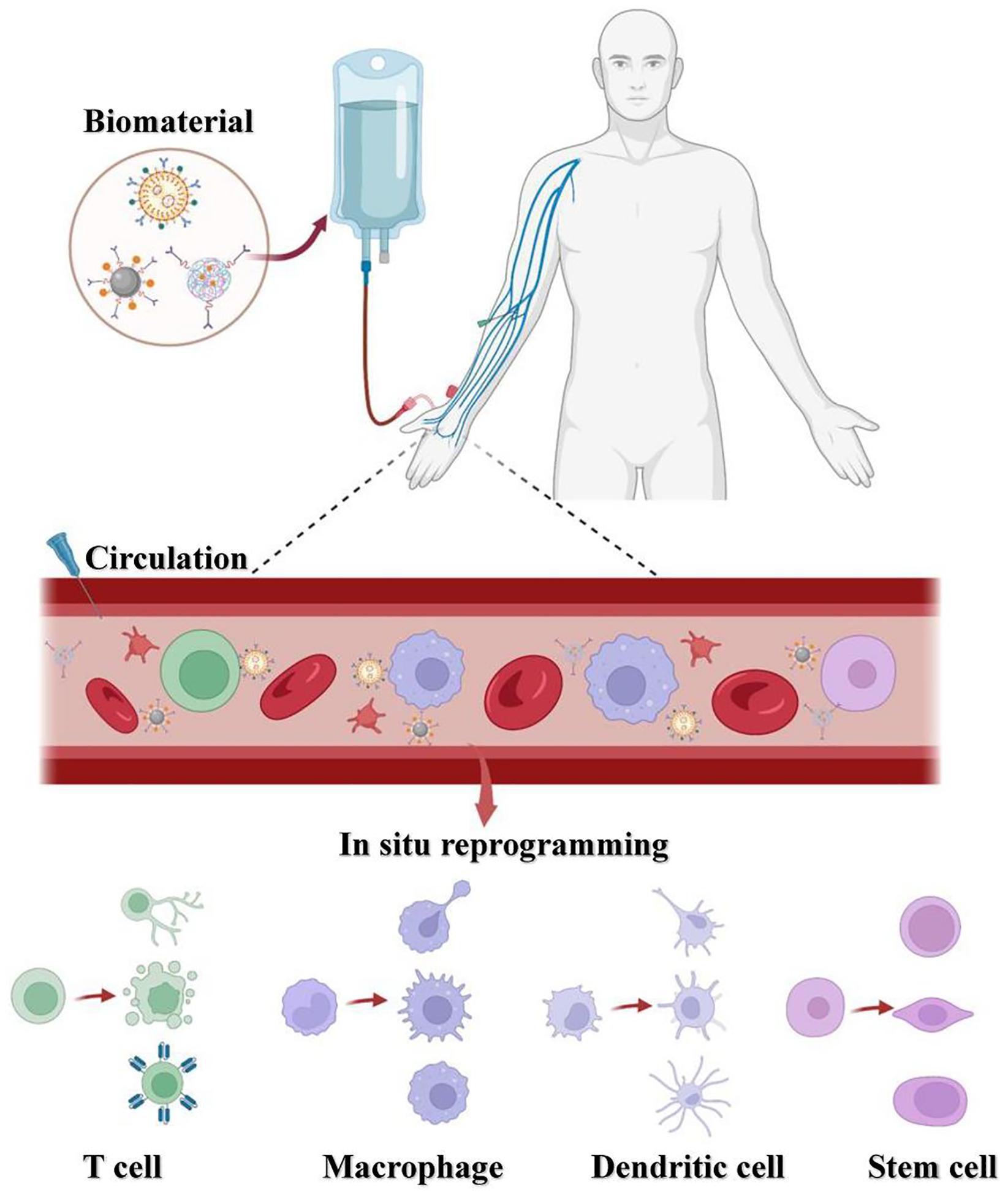 https://cdn.ncbi.nlm.nih.gov/pmc/blobs/0087/11581612/64cb30dd9957/nihms-2036321-f0005.jpg