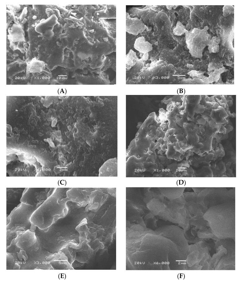 https://cdn.ncbi.nlm.nih.gov/pmc/blobs/0087/8912624/c3f566f4b95d/polymers-14-00914-g002.jpg