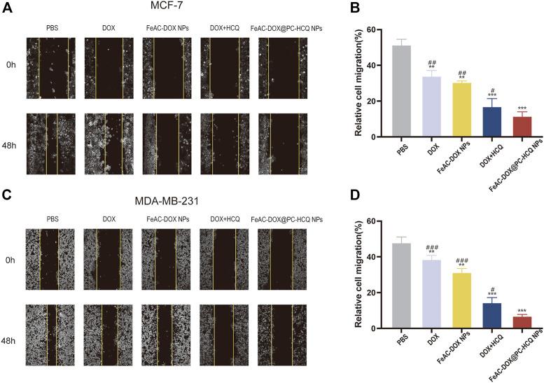 https://cdn.ncbi.nlm.nih.gov/pmc/blobs/0088/10203398/0028d7cb8f60/fphar-14-1176232-g006.jpg